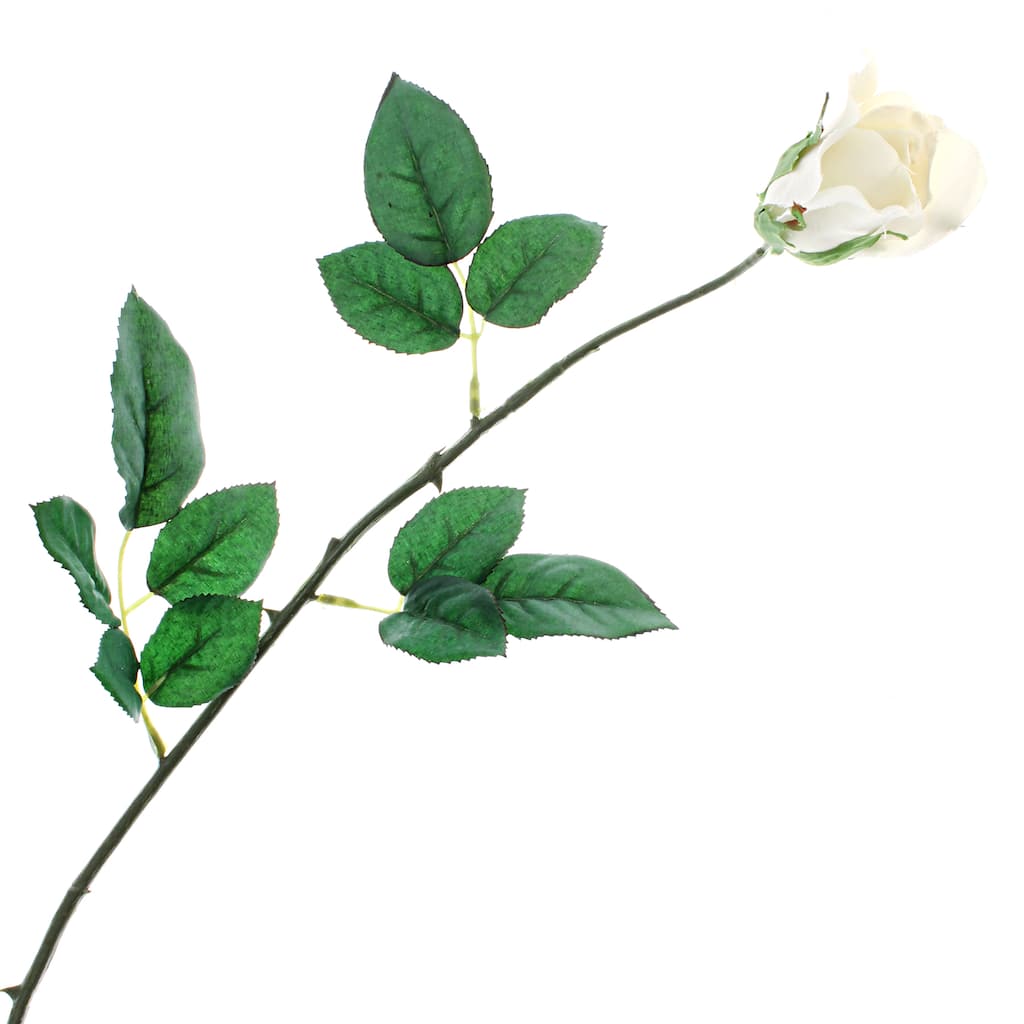 10297029.jpg img